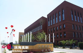 政策利好振翅高飛，天津七成軟企匯聚濱海新區領航軟件外包